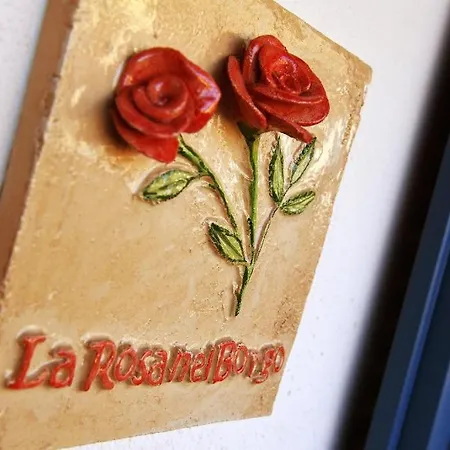 La Rosa Nel Borgo - Con Garage Apartmán La Morra