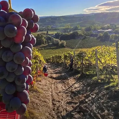 La Rosa Nel Borgo - Con Garage *